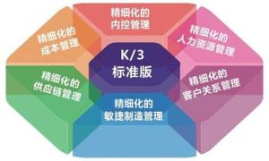 梅州新思維網絡 賦能企業數字化轉型的本地化網絡技術專家